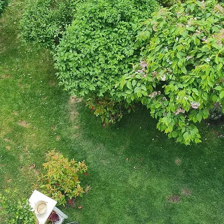 Апартаменти Best Time In