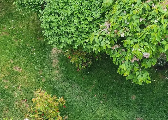 Апартаменти Best Time In