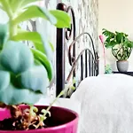 Best Time In Apartment *