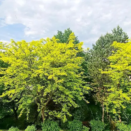 Best Time In Γκρατς