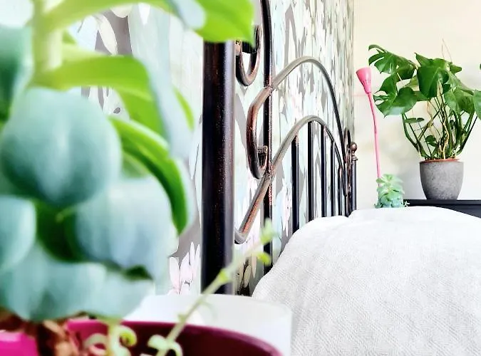 Best Time In Appartamento *